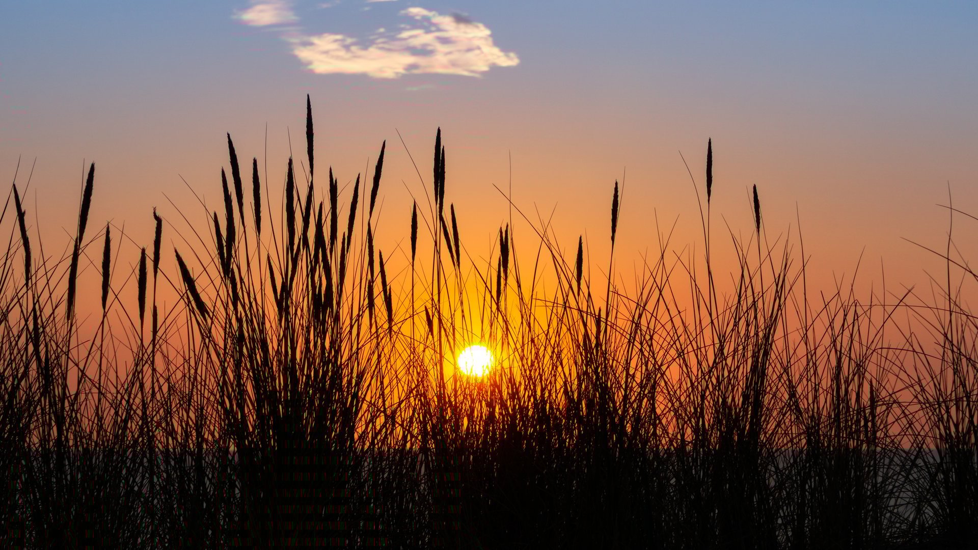 Kampen Kiteboarding Spot with high grass and red sun at sunset shining through