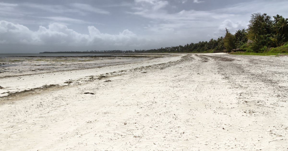 Kiwengwa