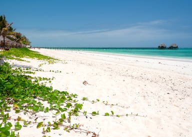 Dongwe Kitesurfing White Palmtree Beach with Pier View 