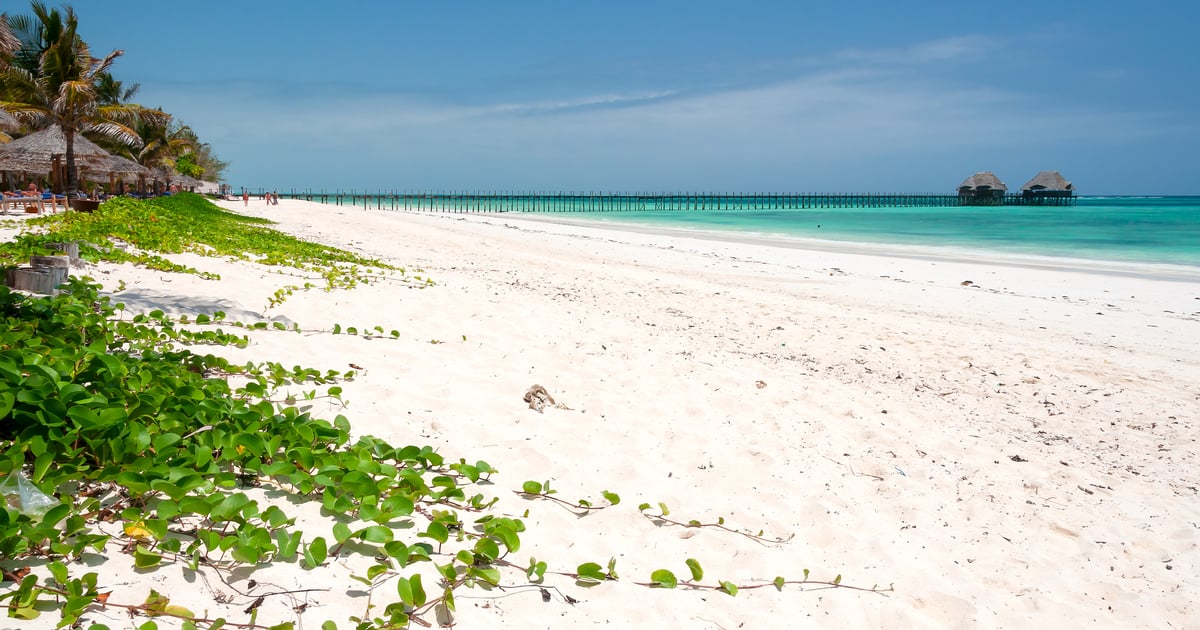 Dongwe Kitesurfing White Palmtree Beach with Pier View 