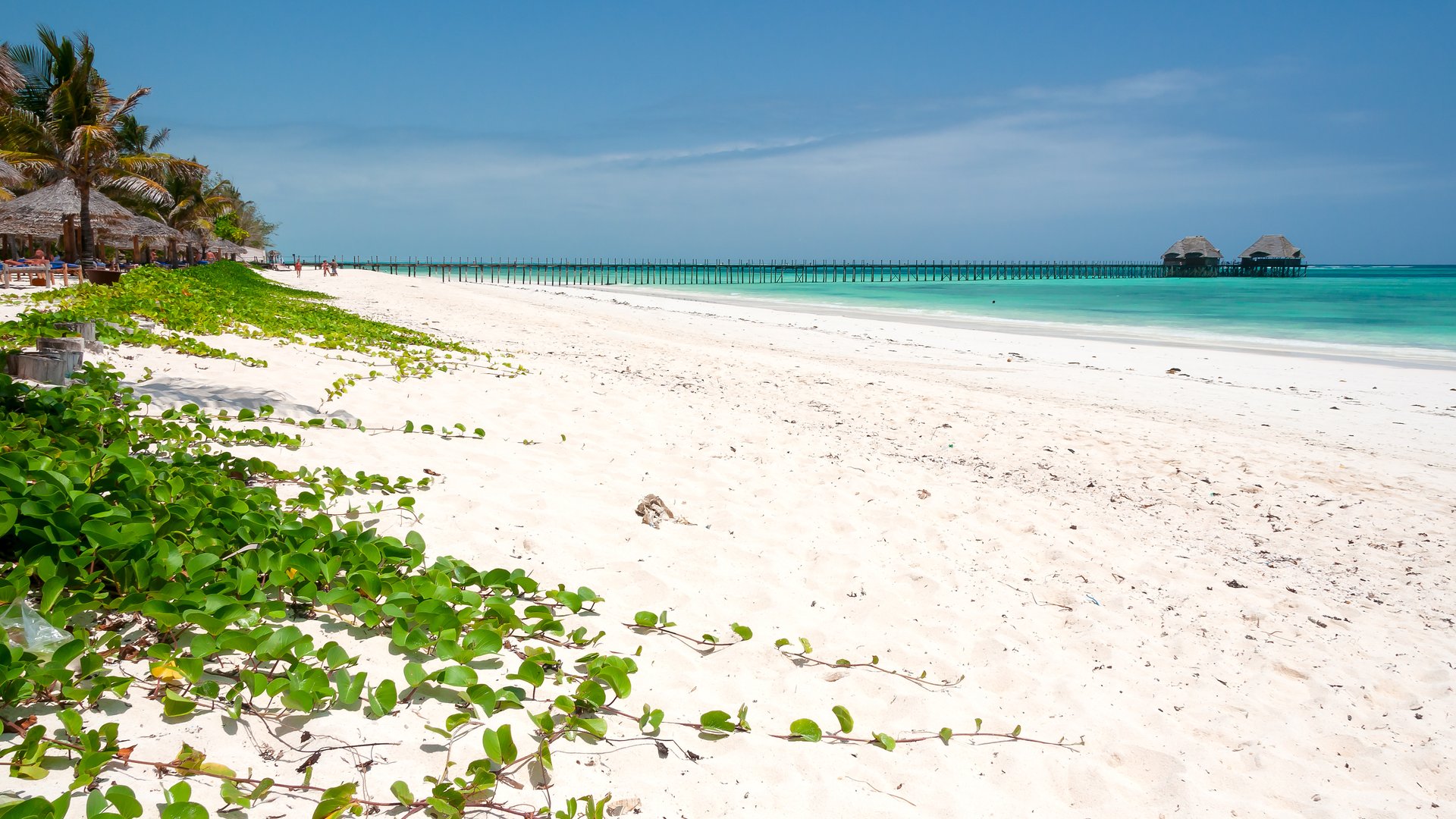 Dongwe Kitesurfing White Palmtree Beach with Pier View 