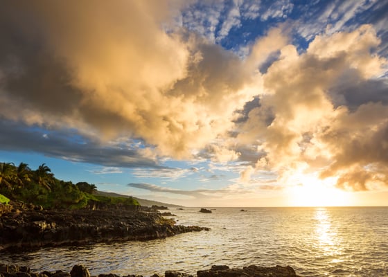 Maui Kite Beach