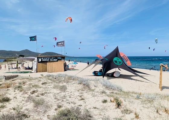 Nido Surf