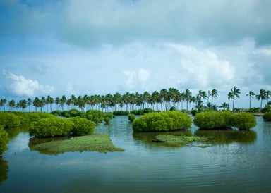 Kalpitiya Lagoon