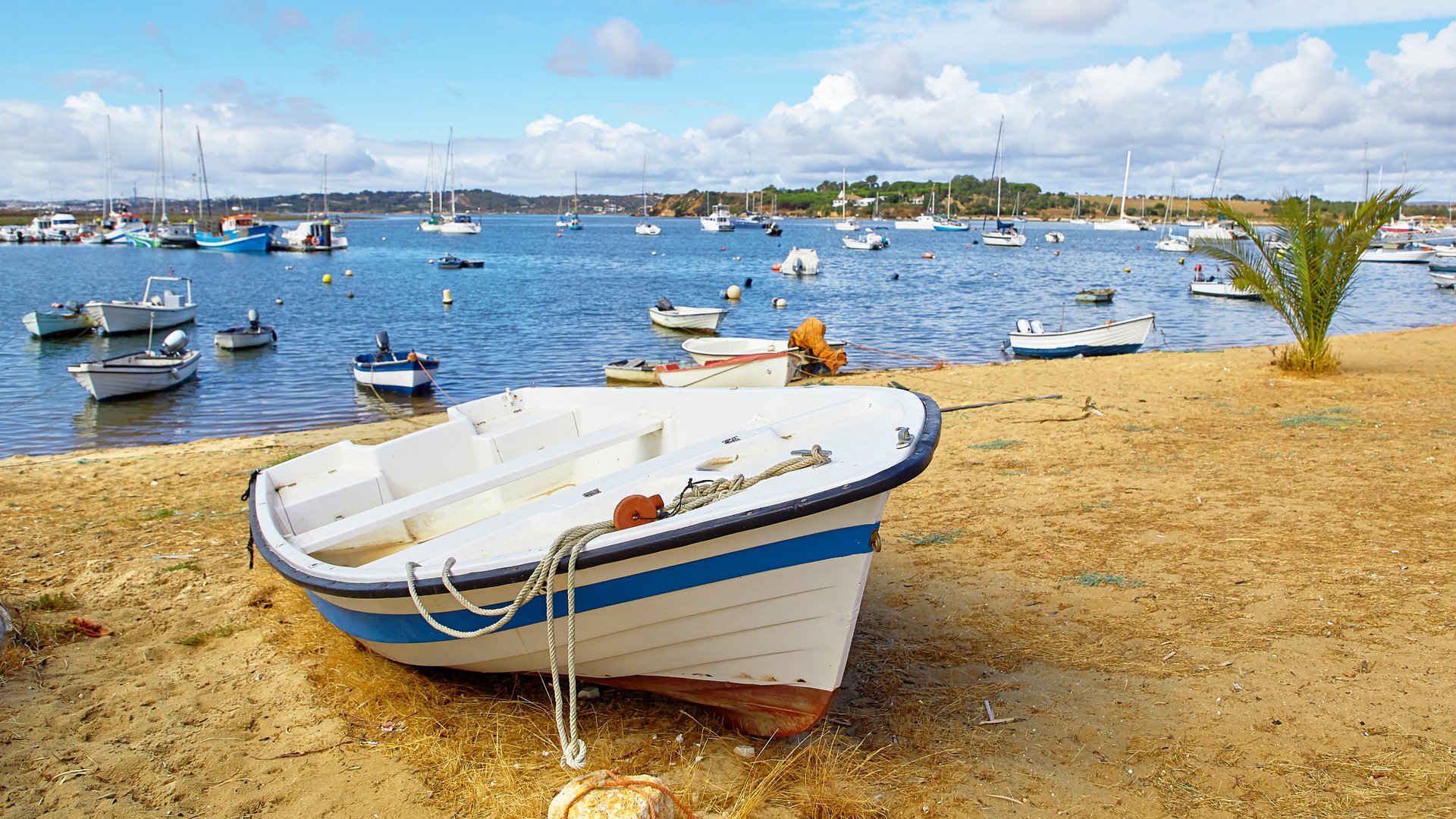 Fishermens boats in Alvor City