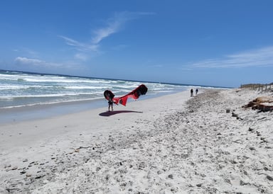 Gray Sand at Melkbos Kite Beach outside Cape Town. Small Waves crashin the ocean. Kitesurfer holding his kite. 