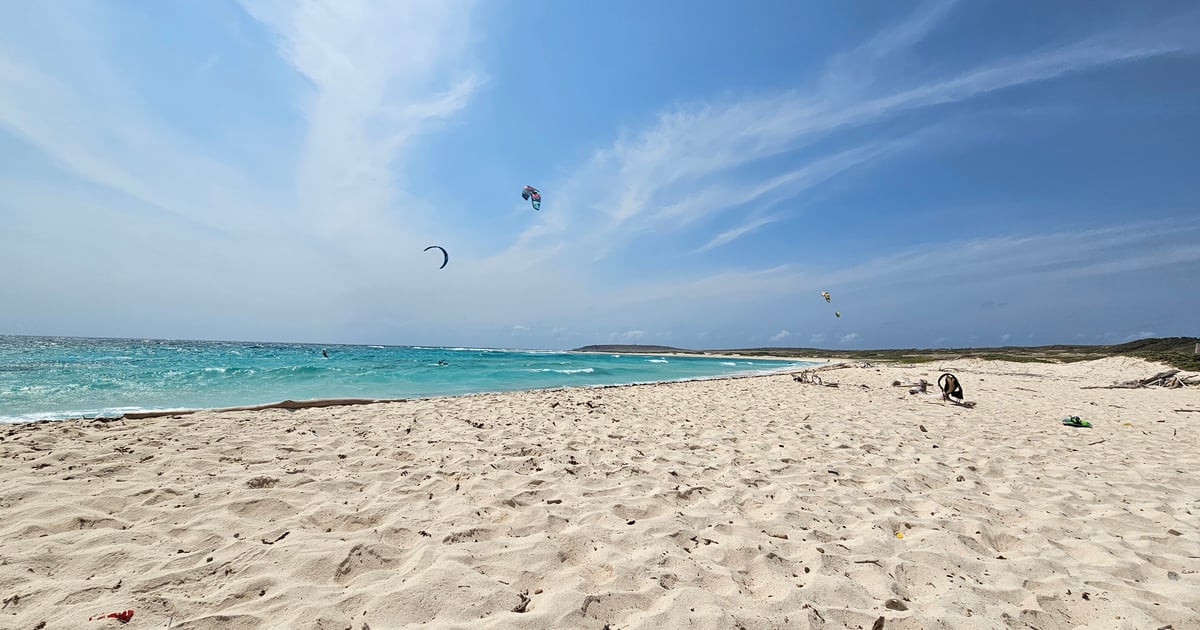 View from Street over bushes to Boca Grandi lonely kitespot south of Aruba 