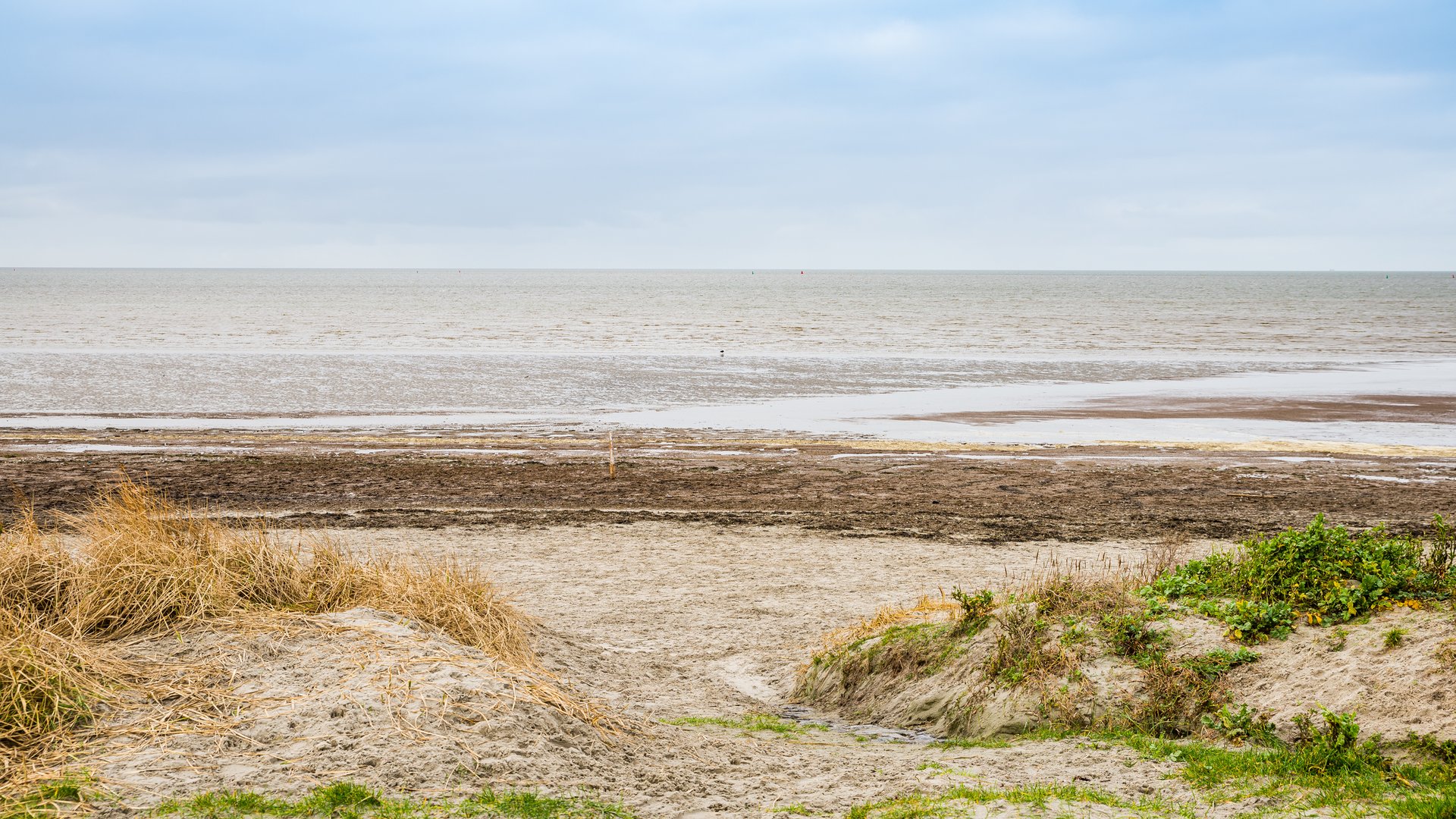 brown beach at low tide in harlingen