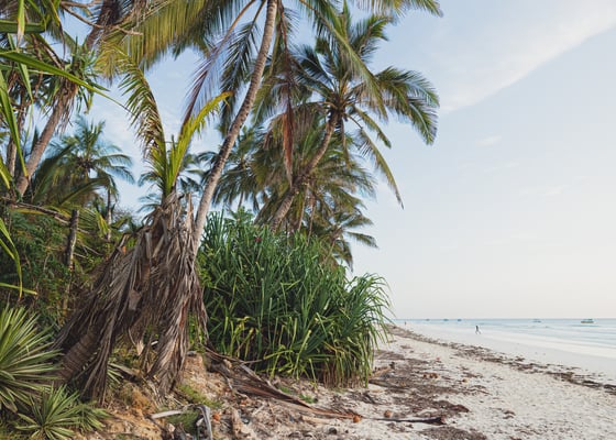 Diani Beach in the morning