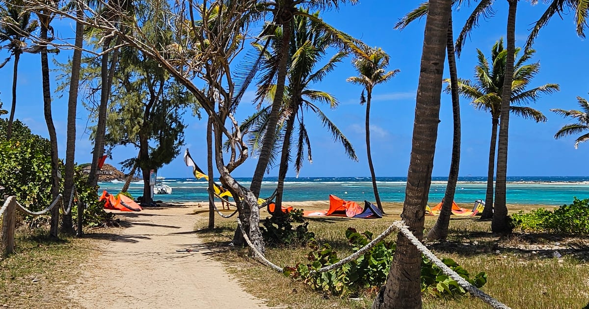 View of way to the spot with palm trees and kites ready to launch