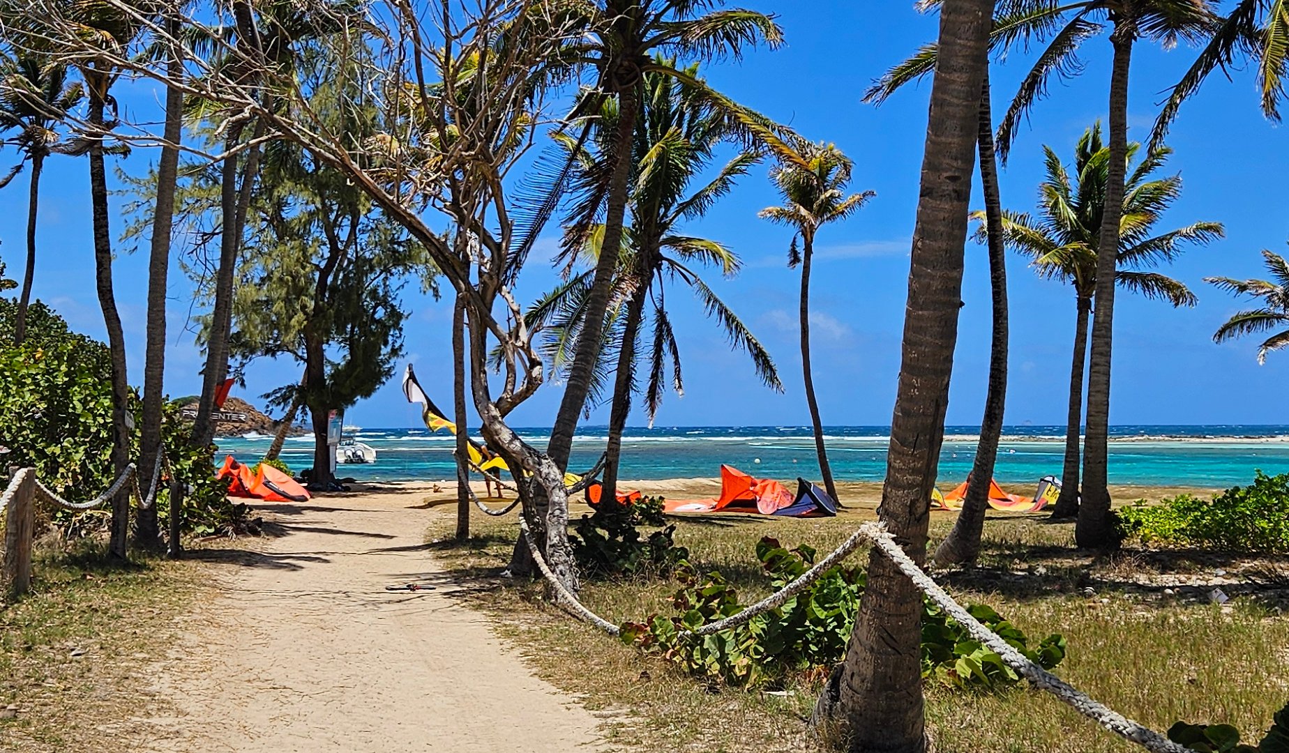 View of way to the spot with palm trees and kites ready to launch