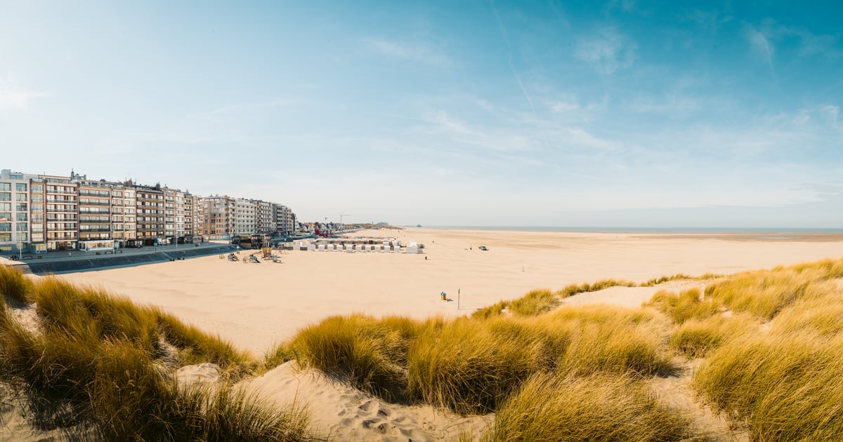 Zeebrugge