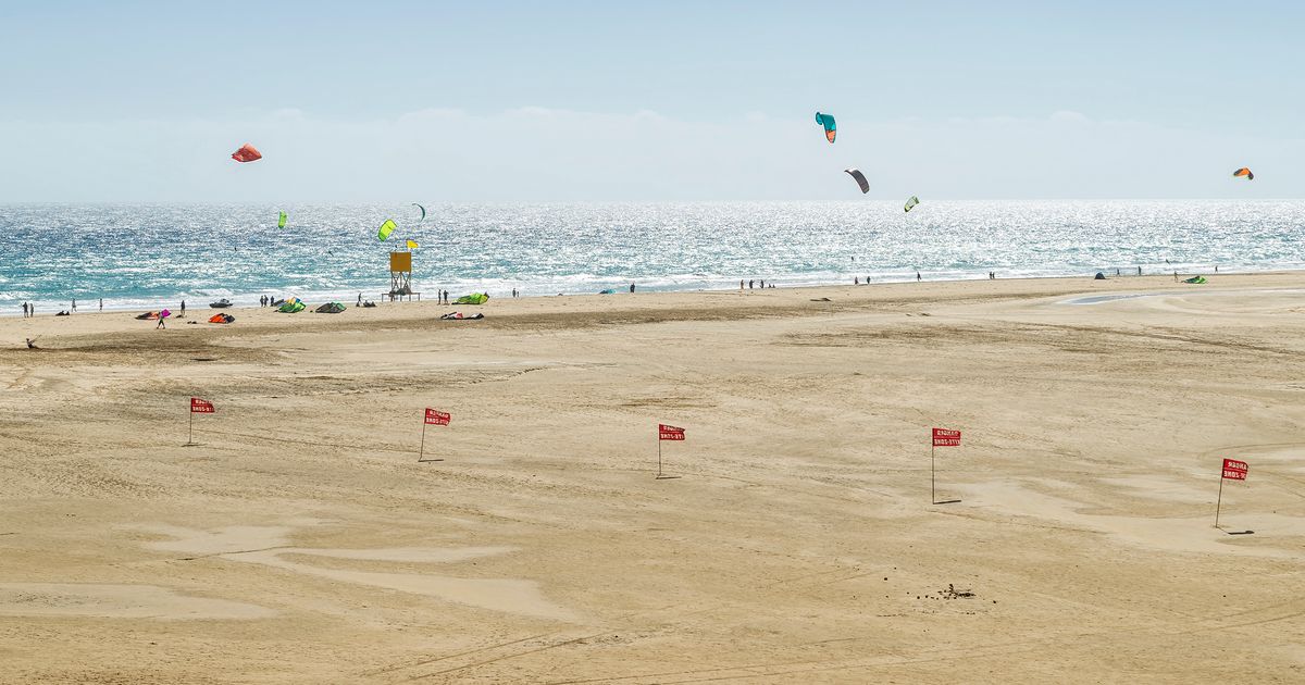 Sotavento Kitesurfing beach in Fuerteventura image from far with view from the large beach to the sea with sunny weather and about 10 kitesurfers in the sky
