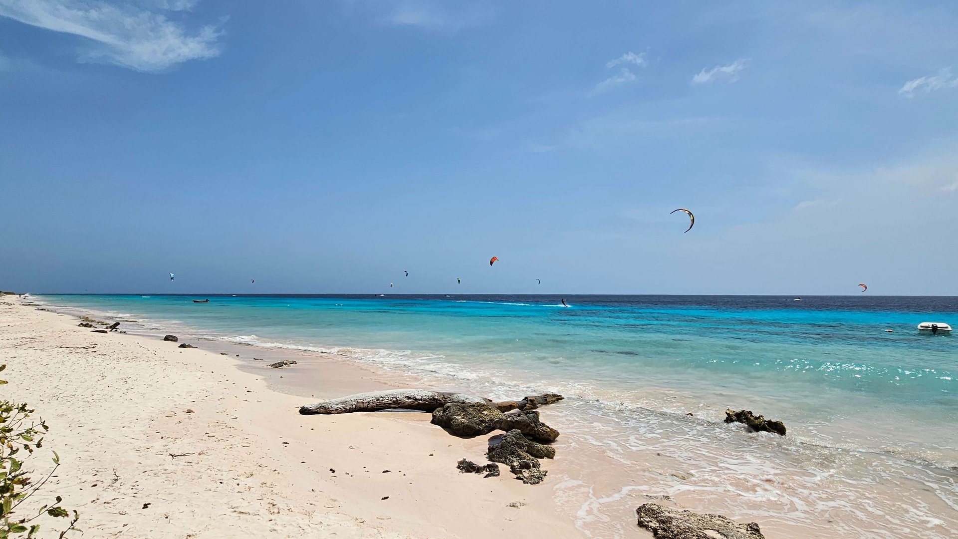 Atalntis Beach Kitesurfing Bonaire some trees on the white sand, kiters on the horizon