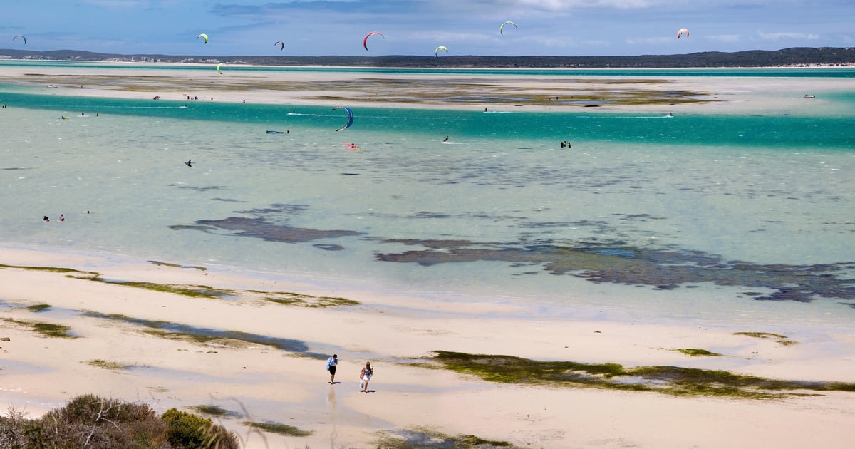 View from private appartment to palm tree garden with Langebaan laggoon in the background