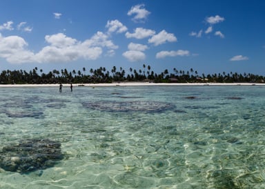 View from Ocean to Matemwe Kitesurf Beach in Zanzibar. Clear Water.
