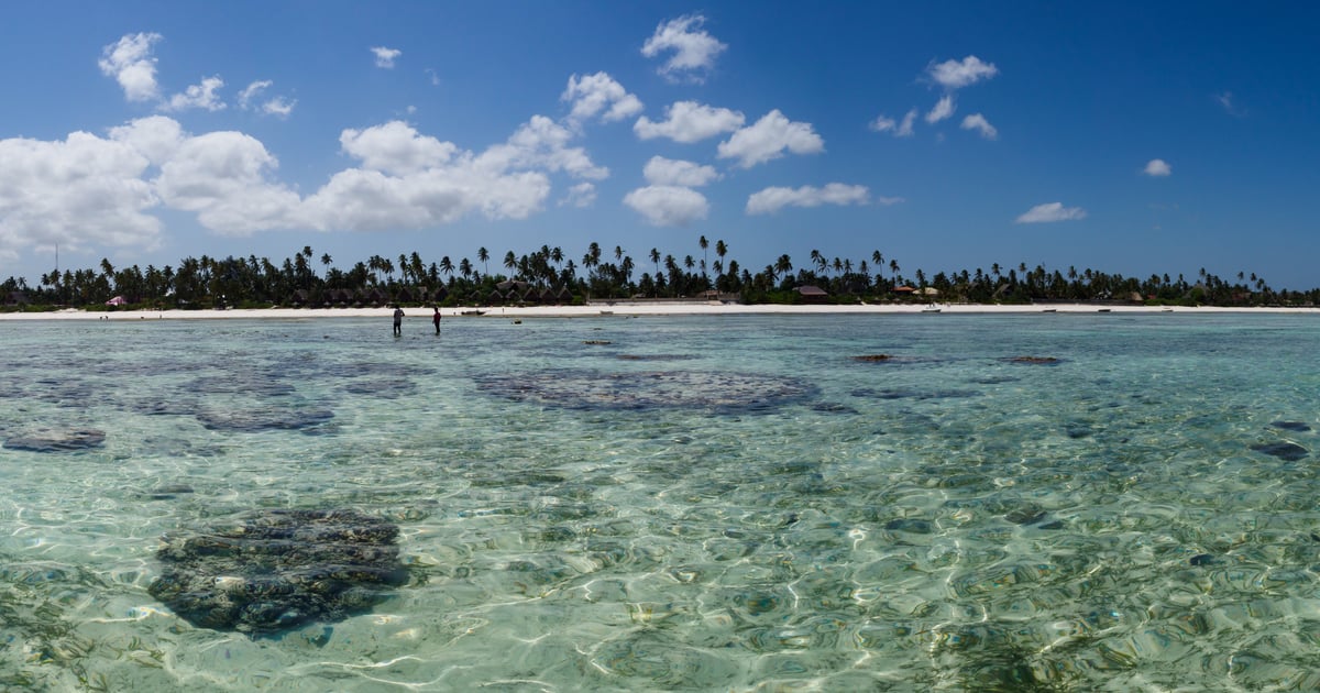 View from Ocean to Matemwe Kitesurf Beach in Zanzibar. Clear Water.