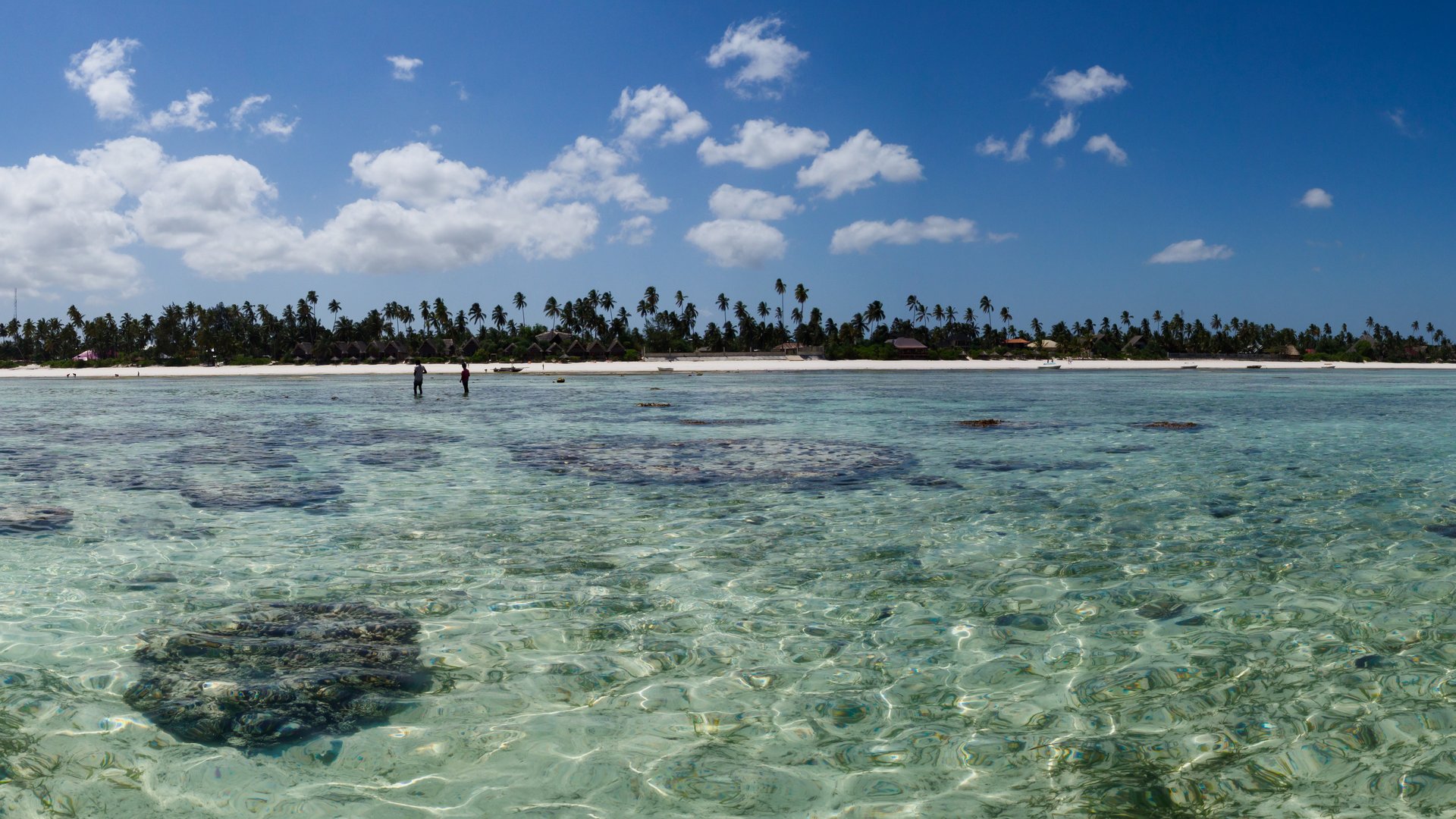 View from Ocean to Matemwe Kitesurf Beach in Zanzibar. Clear Water.