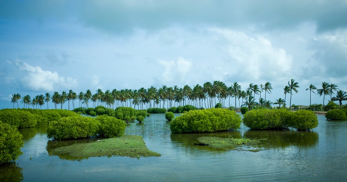Sri Lanka · Kiteboard Spots
