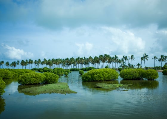 Kalpitiya (Big) Lagoon