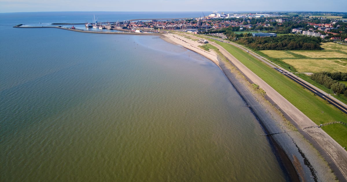 Harlingen