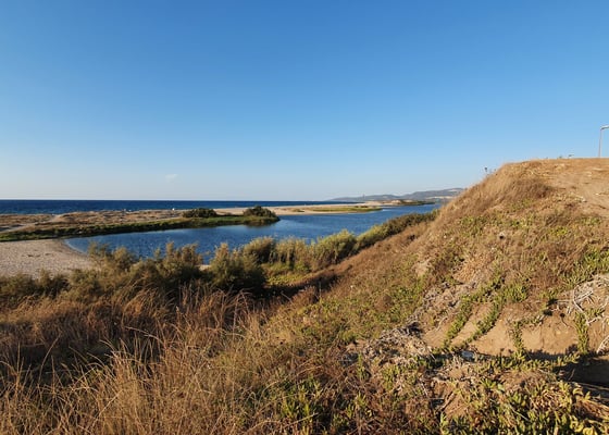 The lagoons jump lagoon flat surfer mangroves brazil macapa