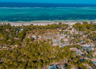 Drone view from land to Pwani Beach in Zanzibar