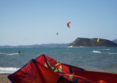 Red Kite at Playa Copal Bahia Salinas