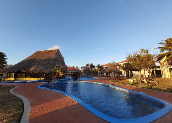Costa Kite