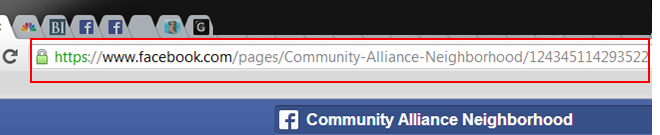Above: Example of a Page that has not set its username.