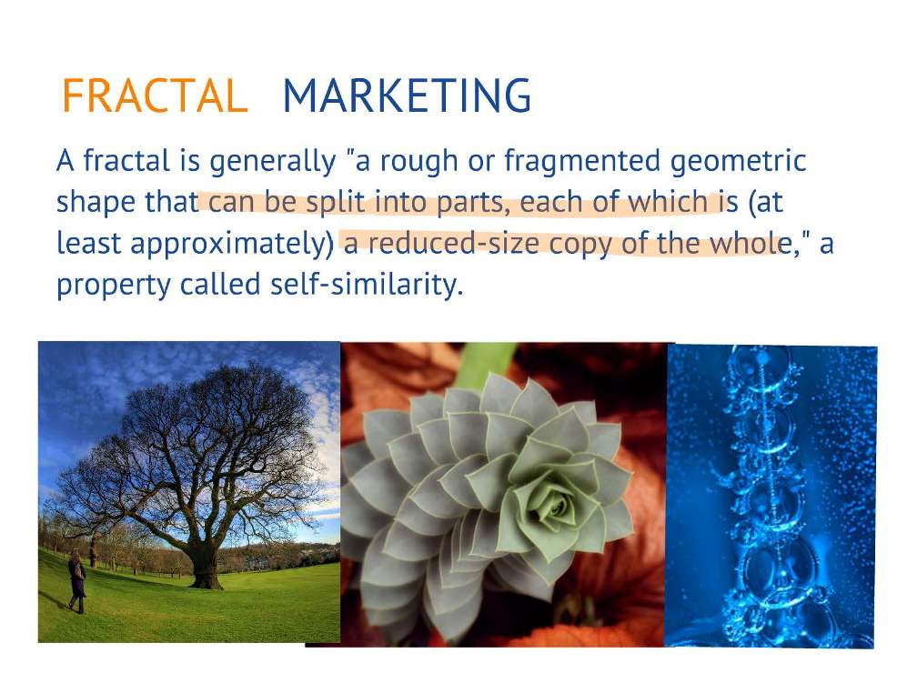 fractal-marketing