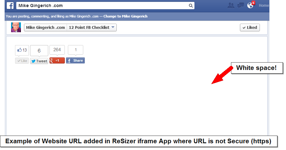 12-point-withwebsite-white-space