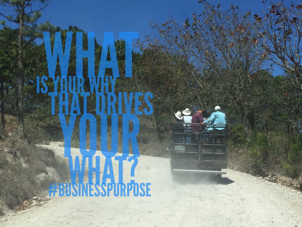 What that drives why