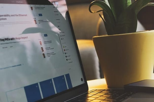 4 Reasons Why a White Label Link Building Service Can Help Your Clients