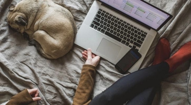 Thinking Of Starting An Online Home Based Business