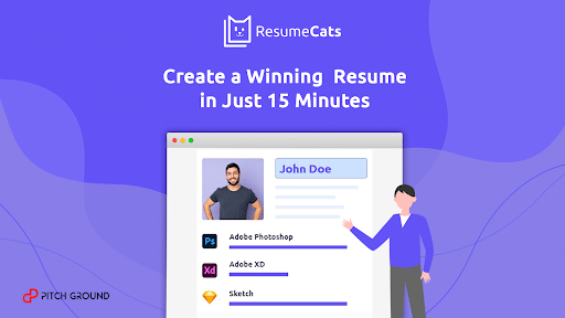 Resumecats professional resume