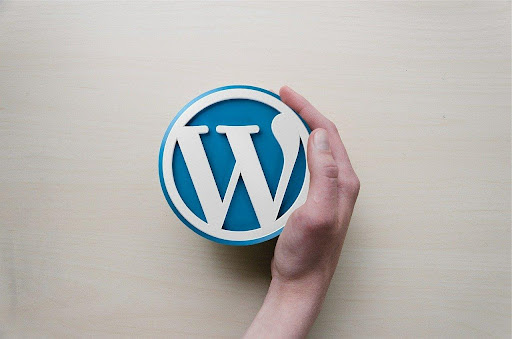 Comprehensive Guide to WordPress Custom Post Types