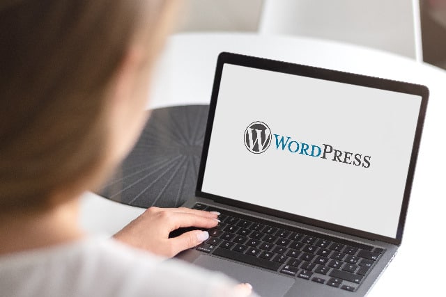 Consider When Choosing A WordPress Development Company