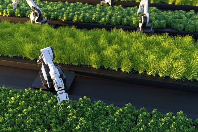 Artificial Intelligence and Agriculture: Prospects for the Future
