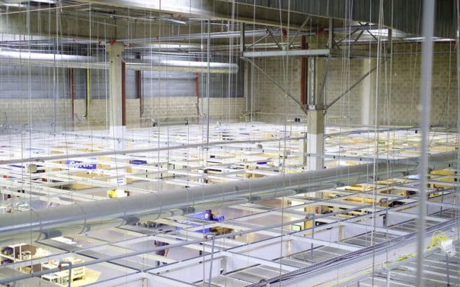 Improving Your Business Quality Management System With a CMM