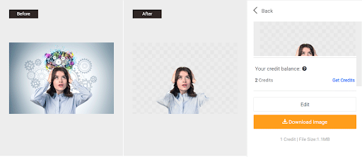 book about critical thinking