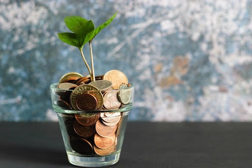 A picture of a plant growing out of a cup of coins to show the money gained from getting a loan from Dutton Lending