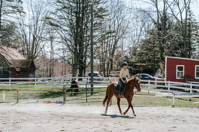 A Complete Guide To Buying A Ranch in Texas