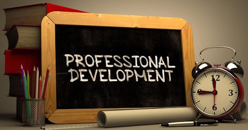professional development