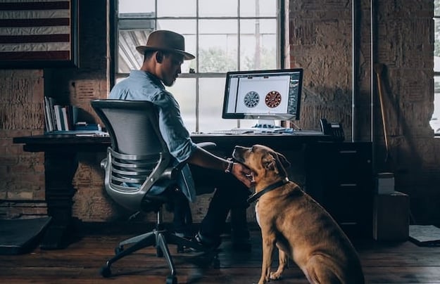 Bring Your Pet to Work Day: 5 Reasons Why You Should