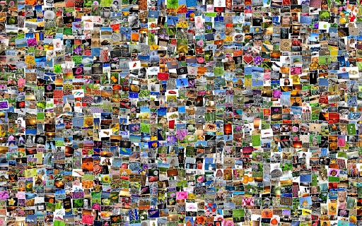 Peculiarities of Web Scraping Images You Should Necessarily Know