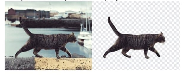 The Rise of Background Removal Tools 2