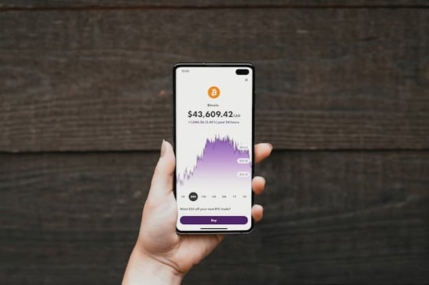 Bitcoin Bonanza: Optimizing Your Returns Inside the Crypto Market