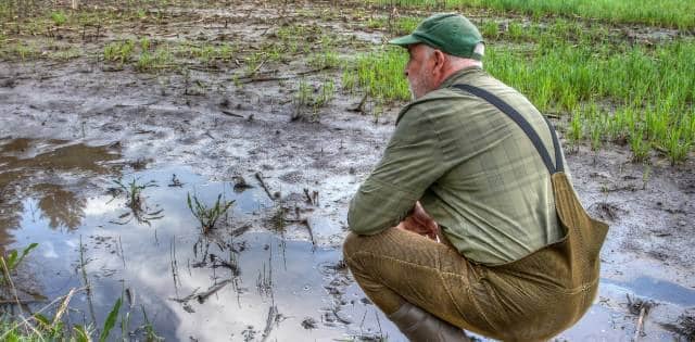 A middle-aged farmer kneels down on the ground and examines the flooded field to determine the damage to the land.