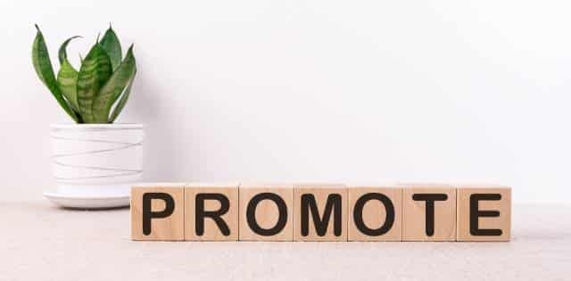 Wooden blocks spelling out the word "PROMOTE." A green plant in a white pot sits behind and to the left of the blocks